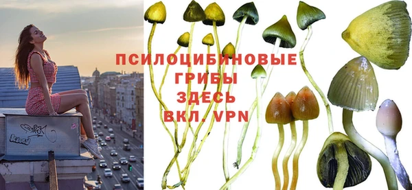 мескалин Аркадак