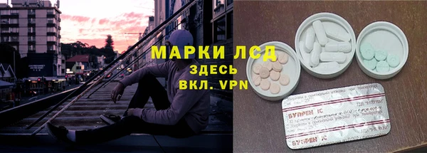 винт Алзамай