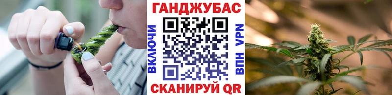 Шишки марихуана OG Kush Ужур